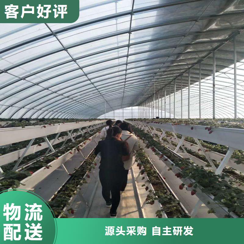 大棚管2连栋大棚管好品质用的放心