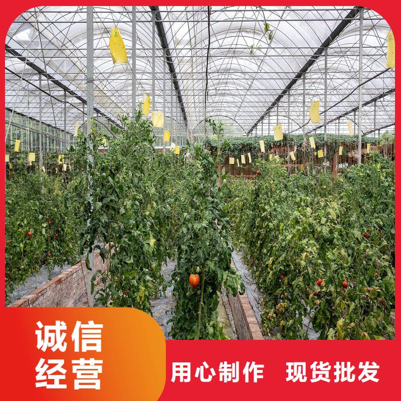 大棚管2大棚管采购无忧