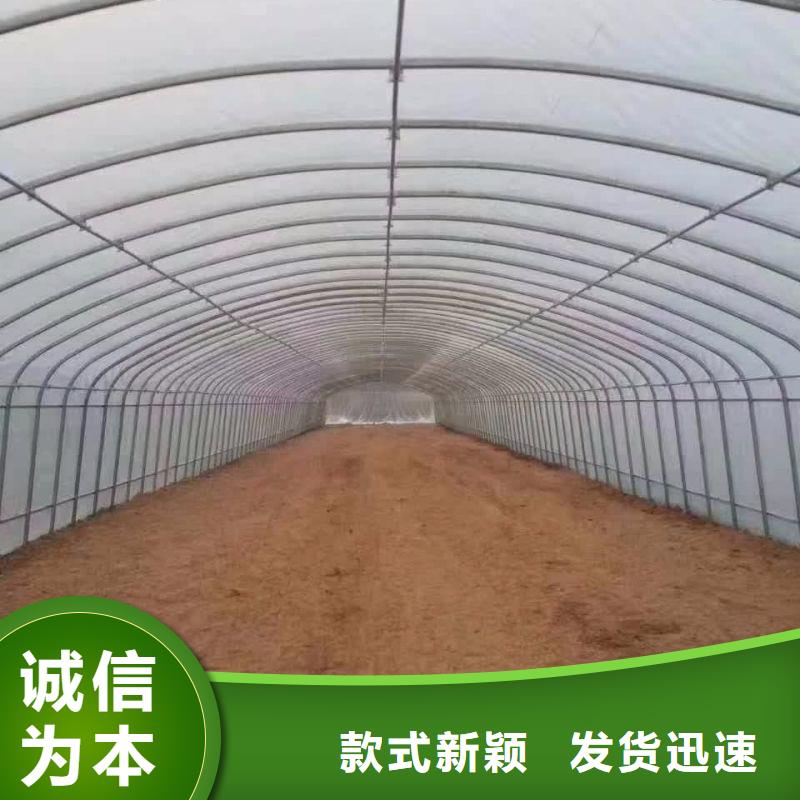 大棚管2连体大棚厂家销售