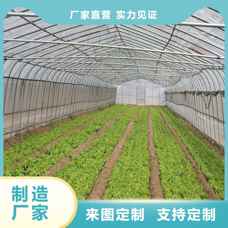 大棚管2连体大棚厂家销售
