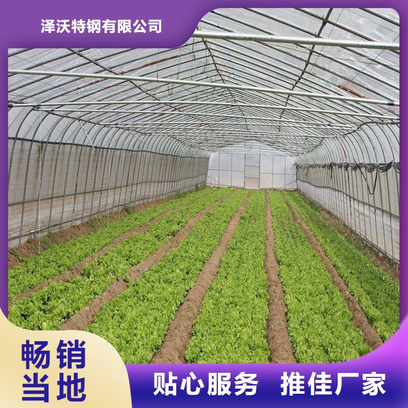 大棚管2日光温室大棚现货快速采购