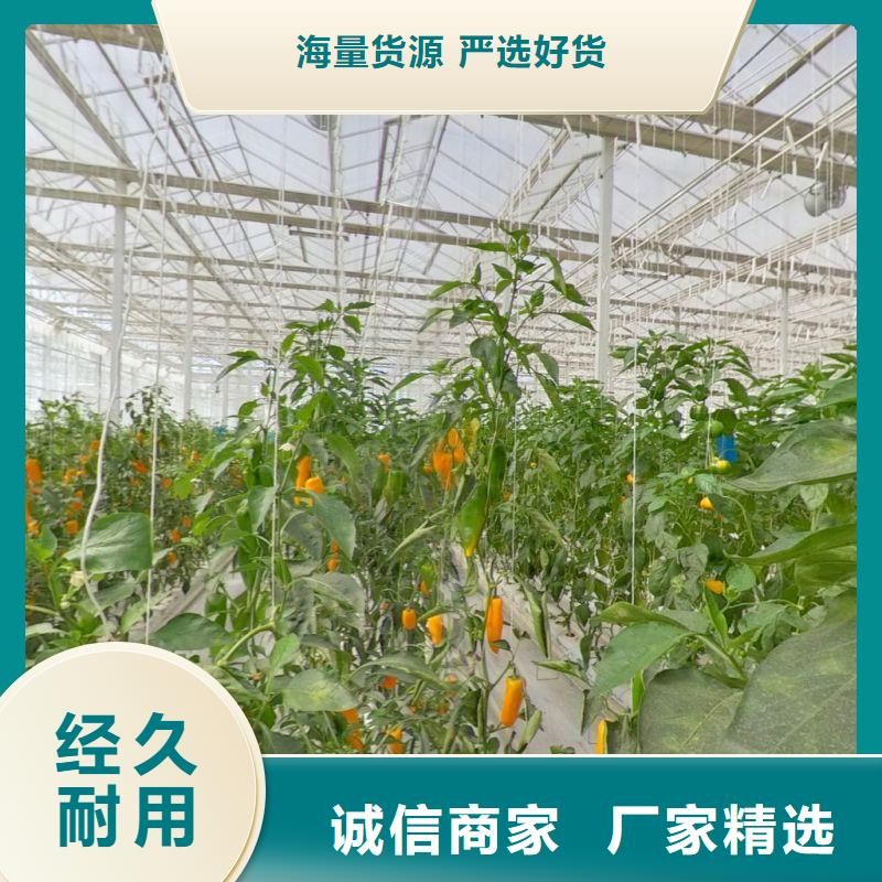 大棚管2温室大棚管厂家直发