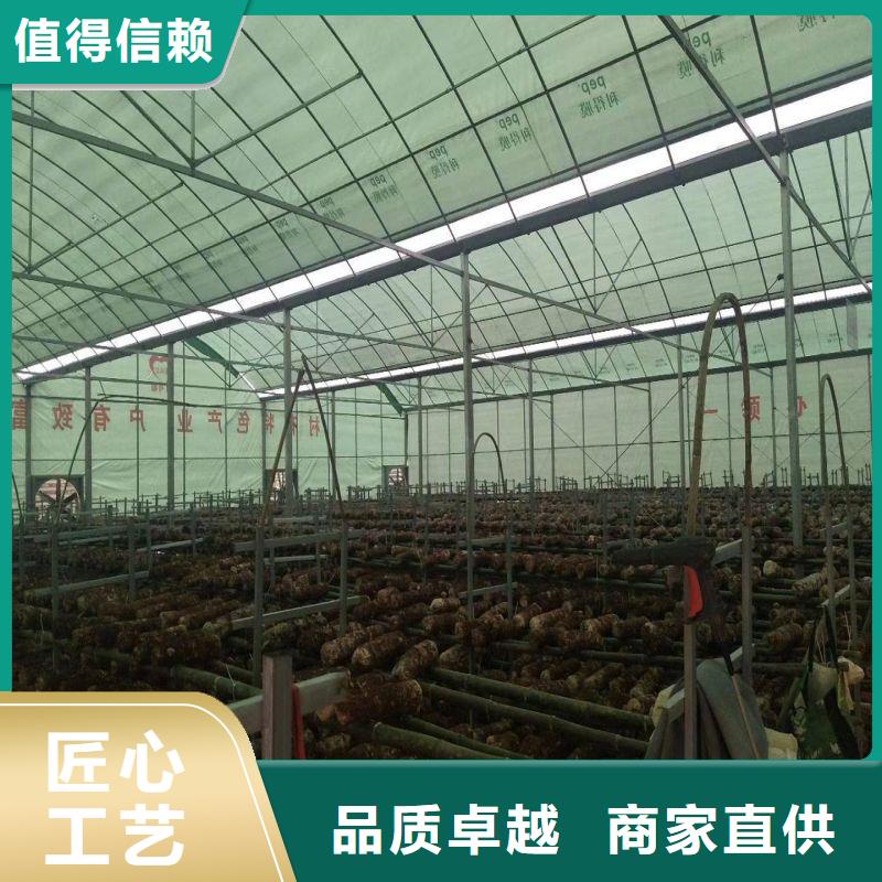 大棚管2-椭圆管温室大棚免费寄样