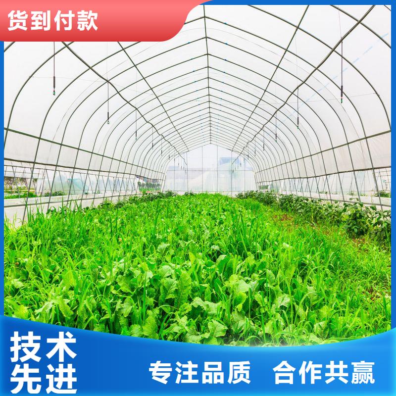 大棚管2,温室大棚管发货及时