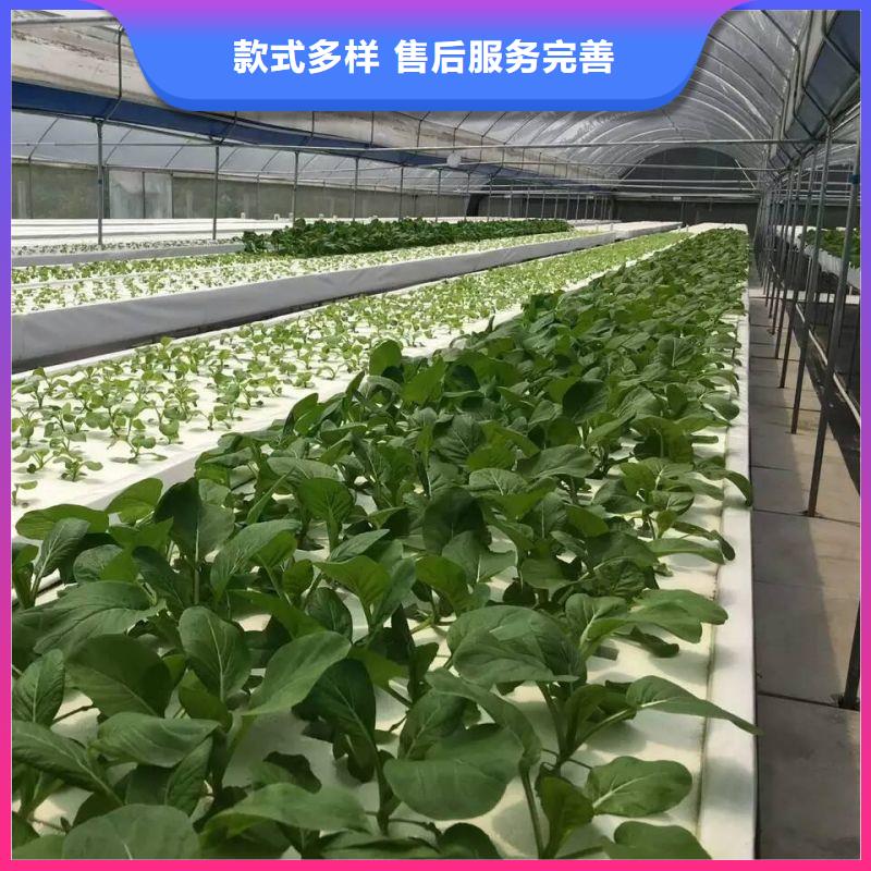 大棚管2 方管品牌大厂家