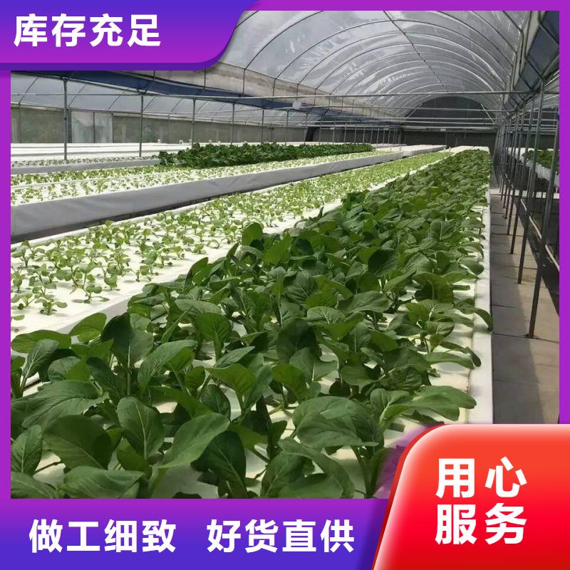 临泉县pc板温室智能大棚下单