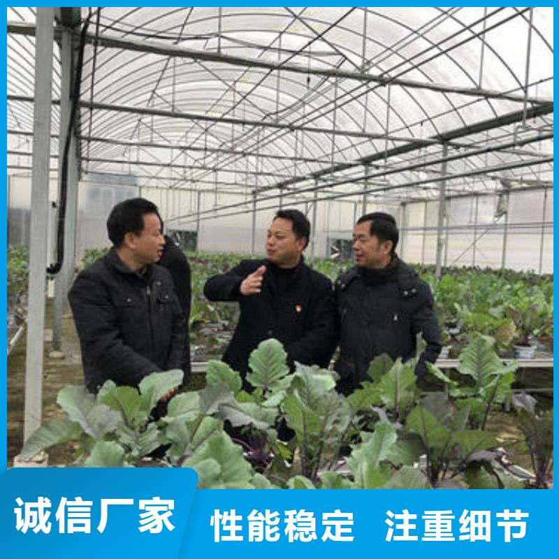 大棚管玻璃温室大棚出货及时