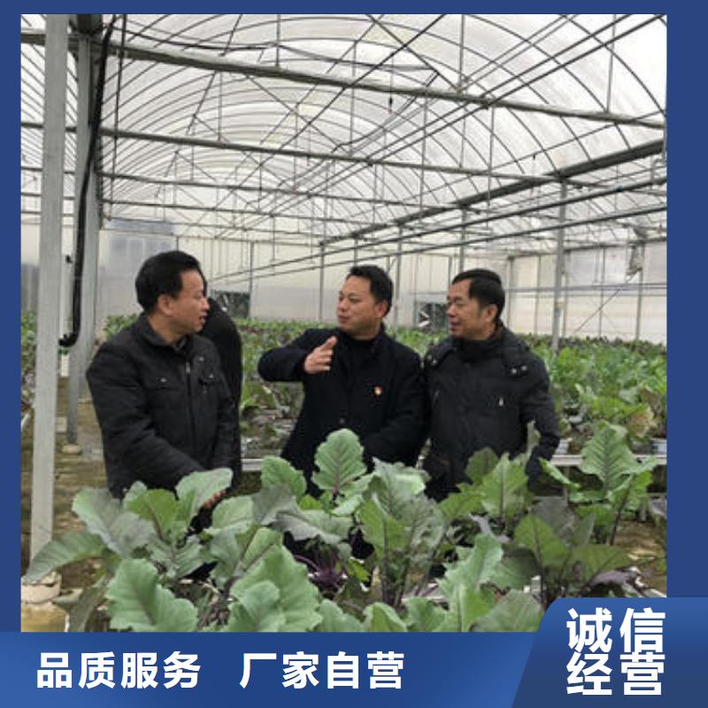 大棚管农业养殖大棚管满足多种行业需求