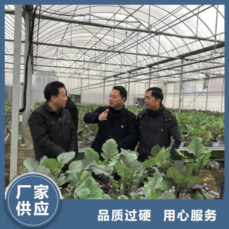 大棚管_大棚管厂家用心经营