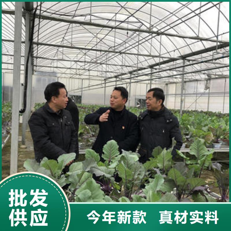 大棚管连栋大棚管支持加工定制