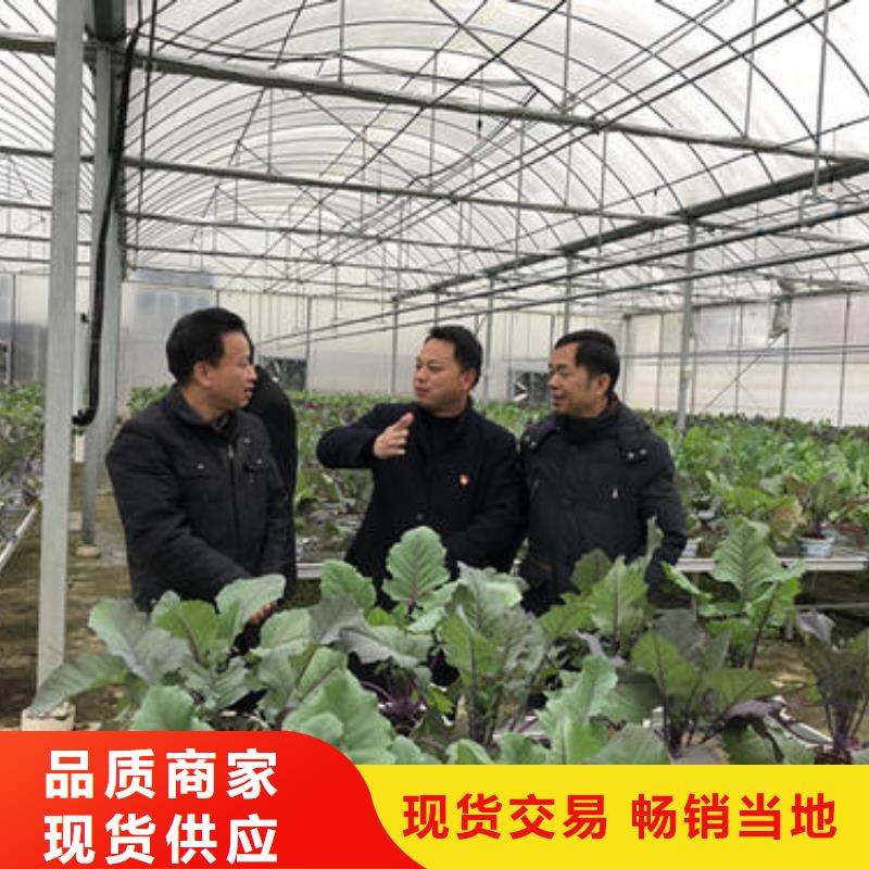  大棚管品牌企业