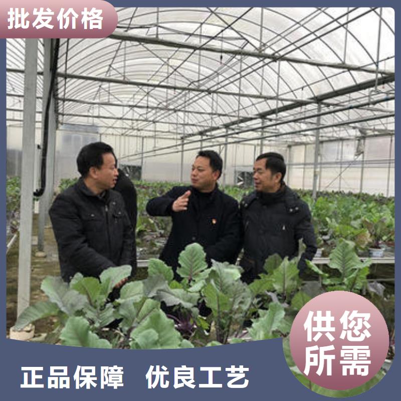 大棚管_农业养殖大棚管敢与同行比服务