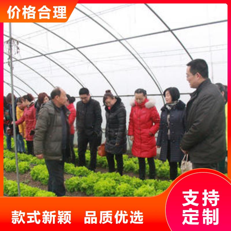 大棚管_温室大棚管发货及时