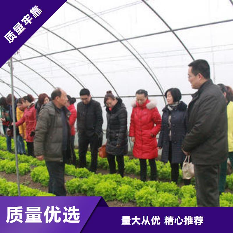 大棚管温室大棚管产品优势特点