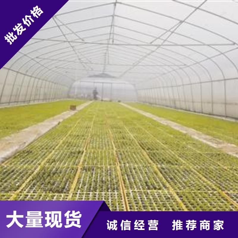 大棚管_大棚管厂家严选材质