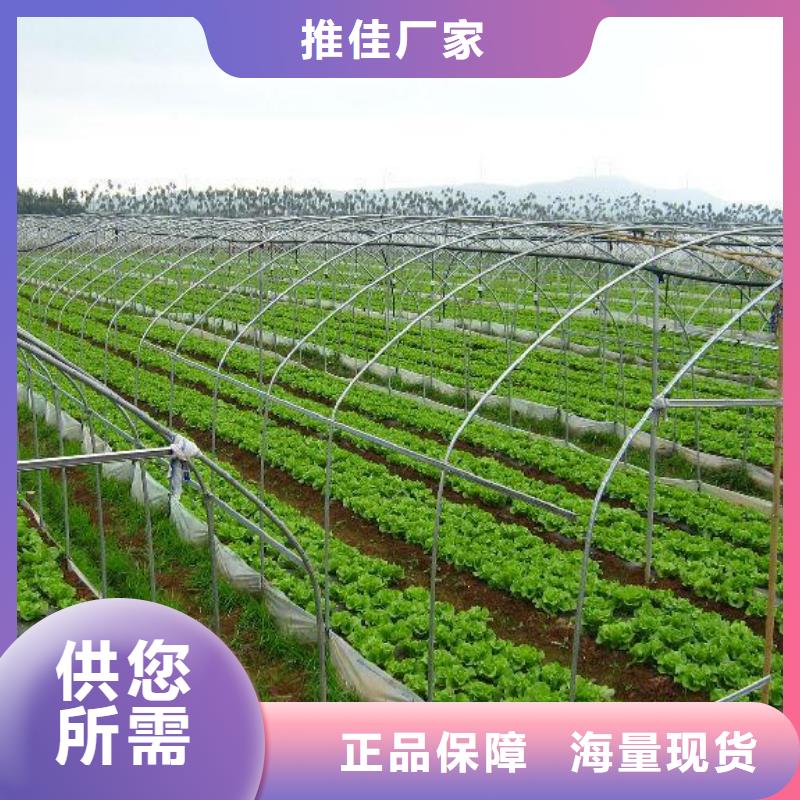 大棚管,大棚管 大棚管专业的生产厂家