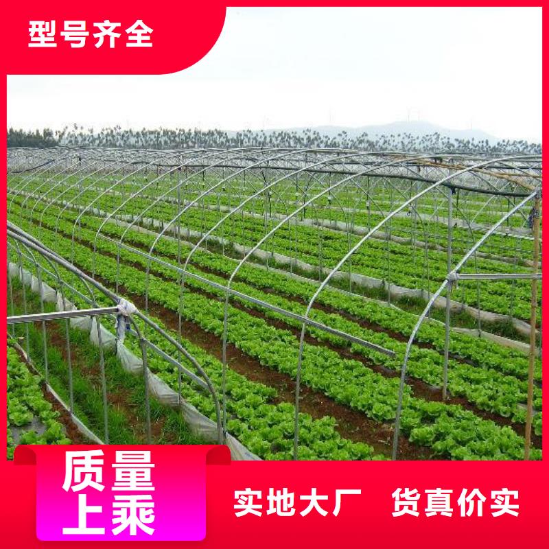 大棚管_大棚管厂家用心经营