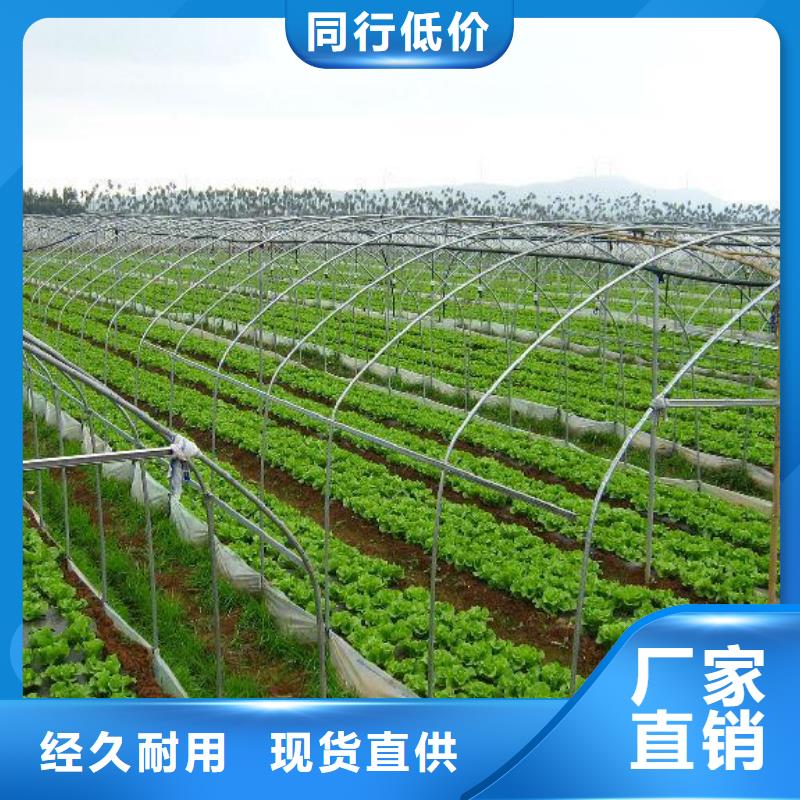  大棚管品牌企业