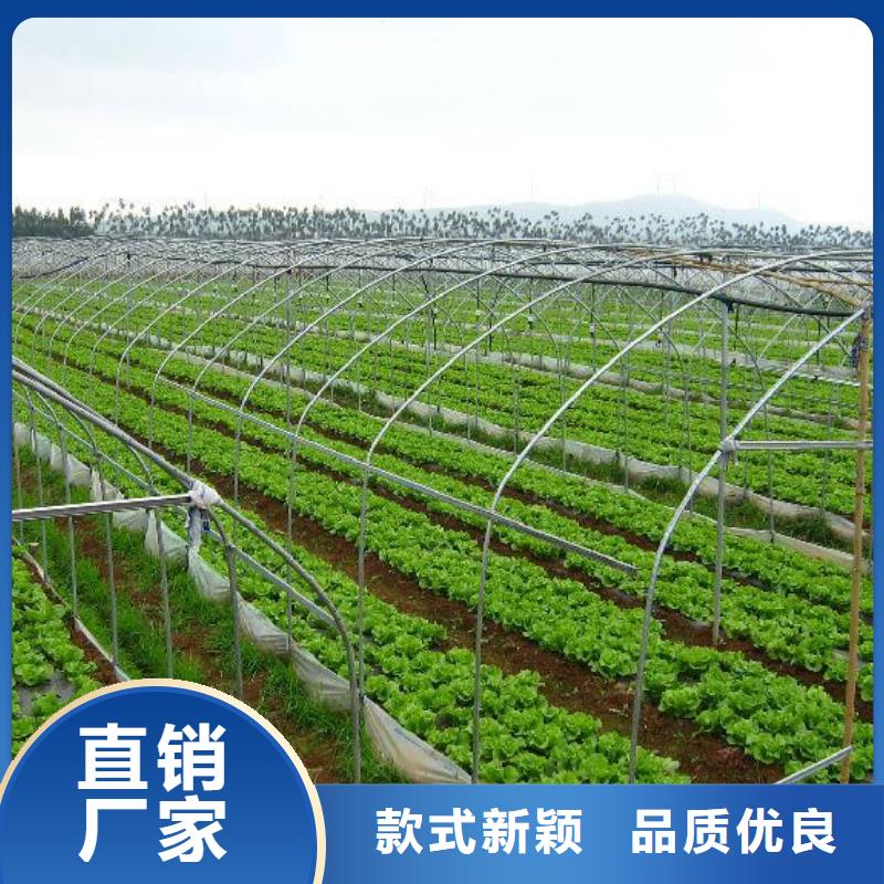 大棚管大棚管厂家甄选好厂家