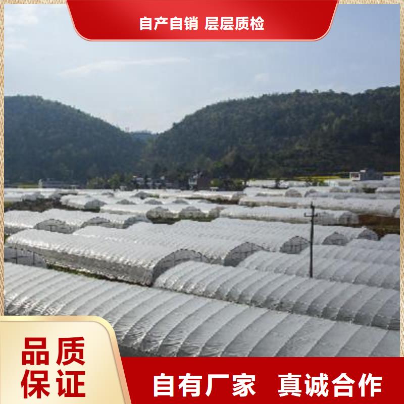 【大棚管3】,
铝管
专业信赖厂家 泽沃特钢(孝感市分公司)