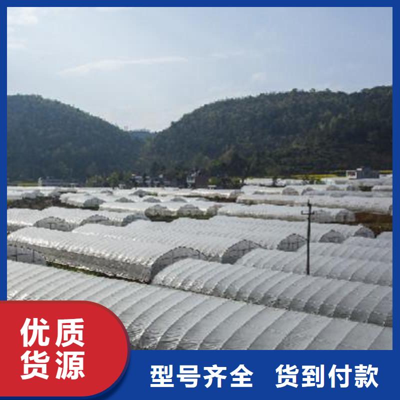 大棚管镀锌大棚管质量安心