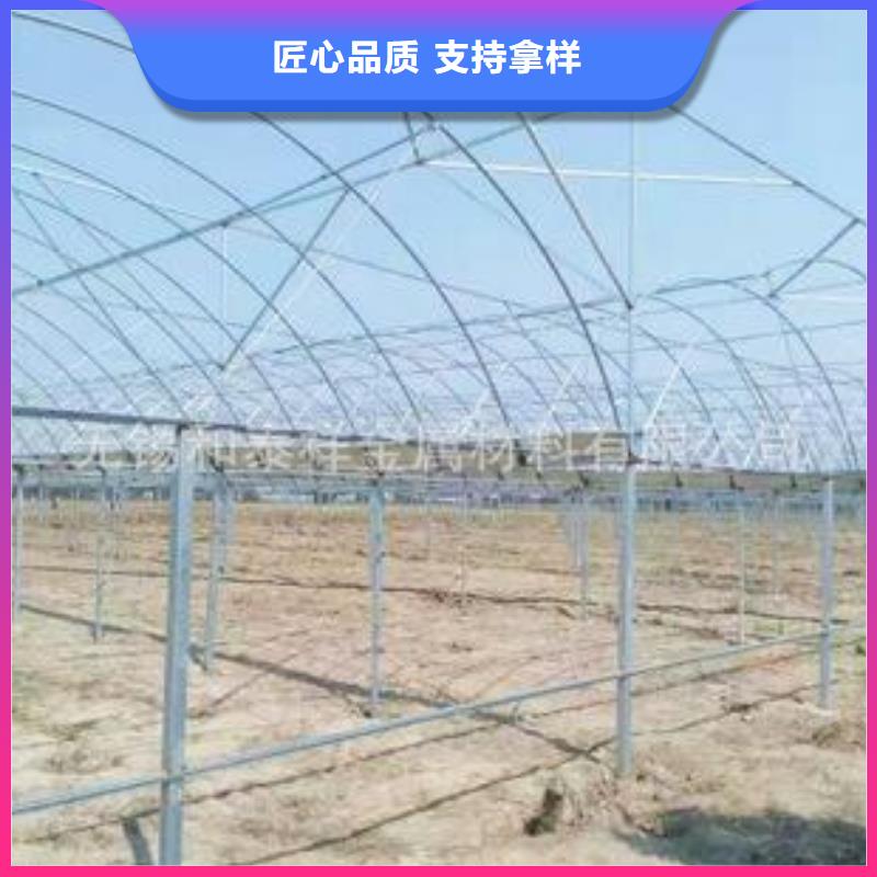 大棚管方矩管市场报价