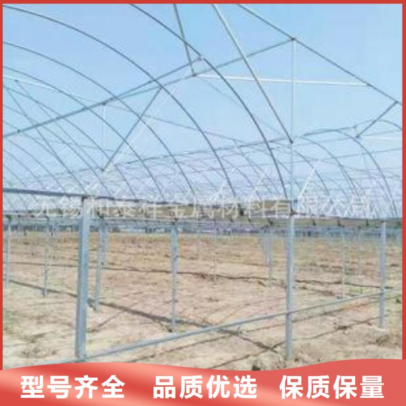 大棚管,连栋大棚管价格公道合理