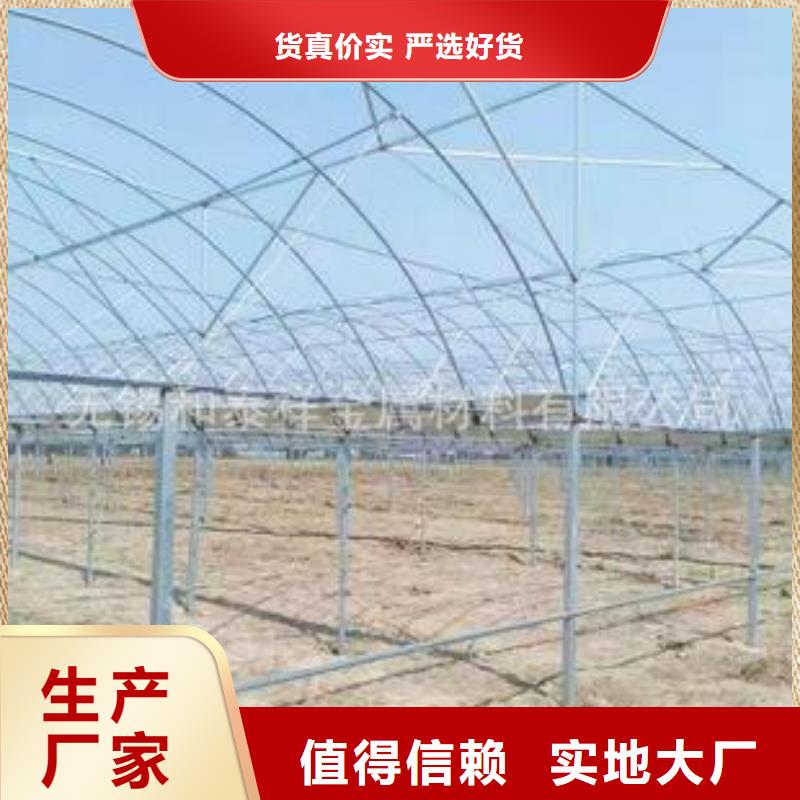 大棚管 镀锌大棚管价格公道合理