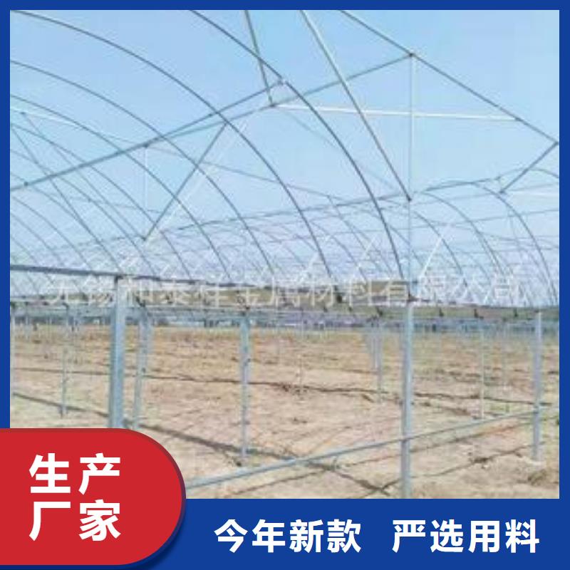 大棚管【大棚管厂家】实体诚信厂家