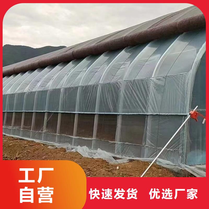 大棚管,连栋大棚管价格公道合理
