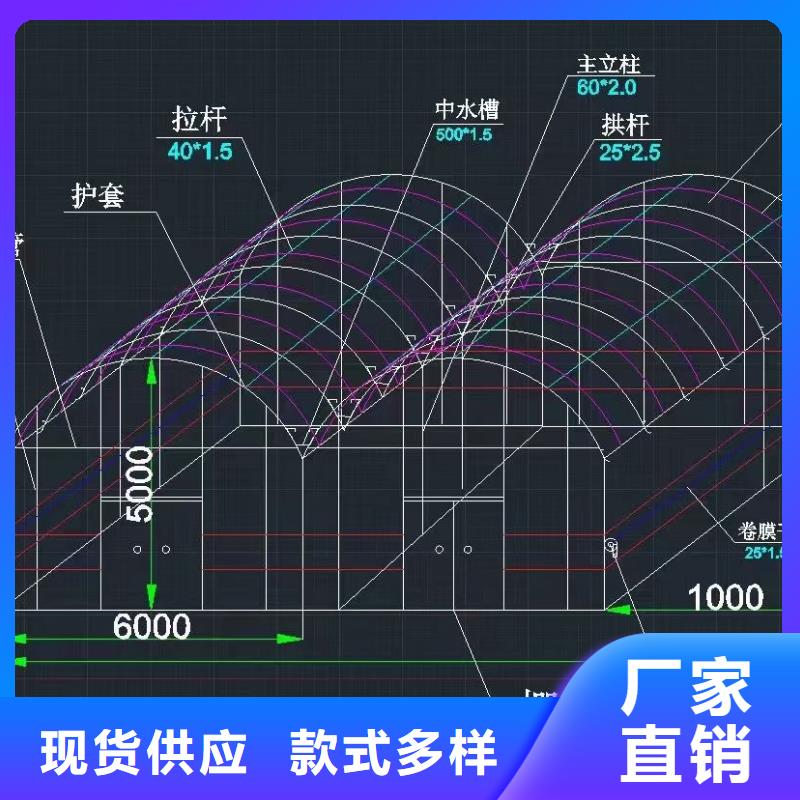 大棚管椭圆管温室大棚卓越品质保障