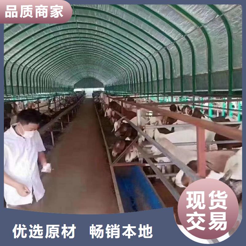大棚管椭圆管温室大棚选择我们没错