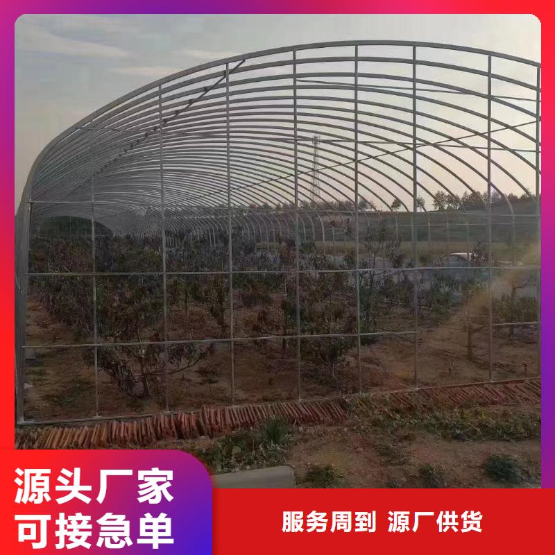 大棚管温室大棚管保障