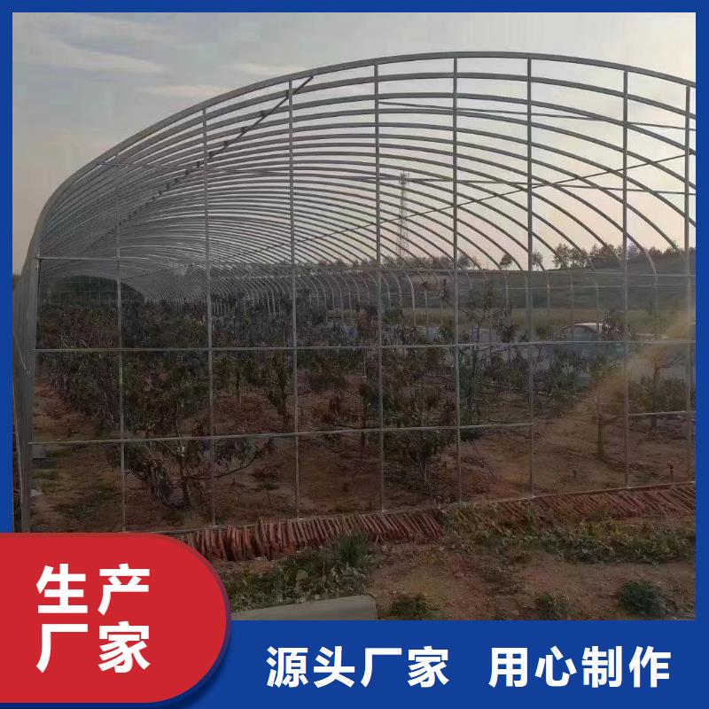 大棚管连栋大棚管多年行业积累