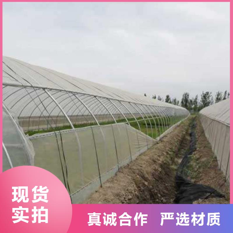 【大棚管厂家直销大量现货】
