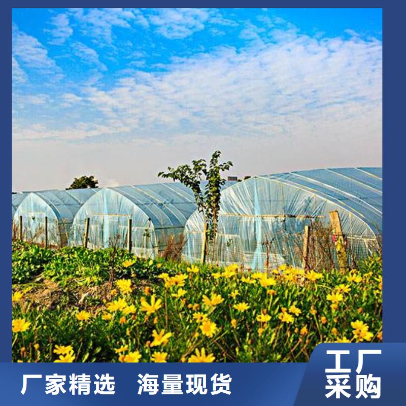 大棚管铝管厂家质量过硬