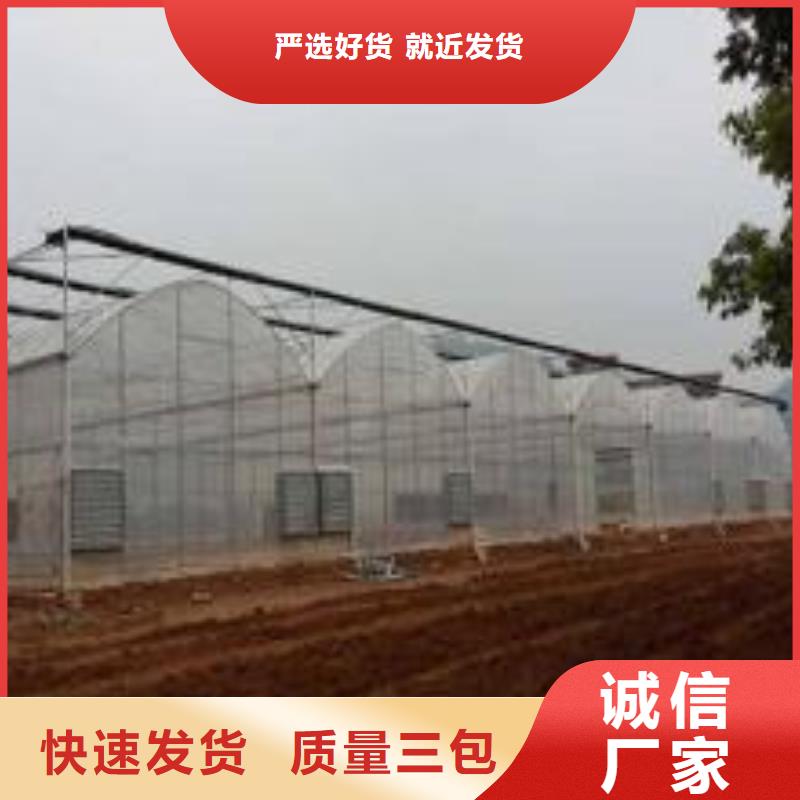 大棚管,连栋大棚管价格公道合理