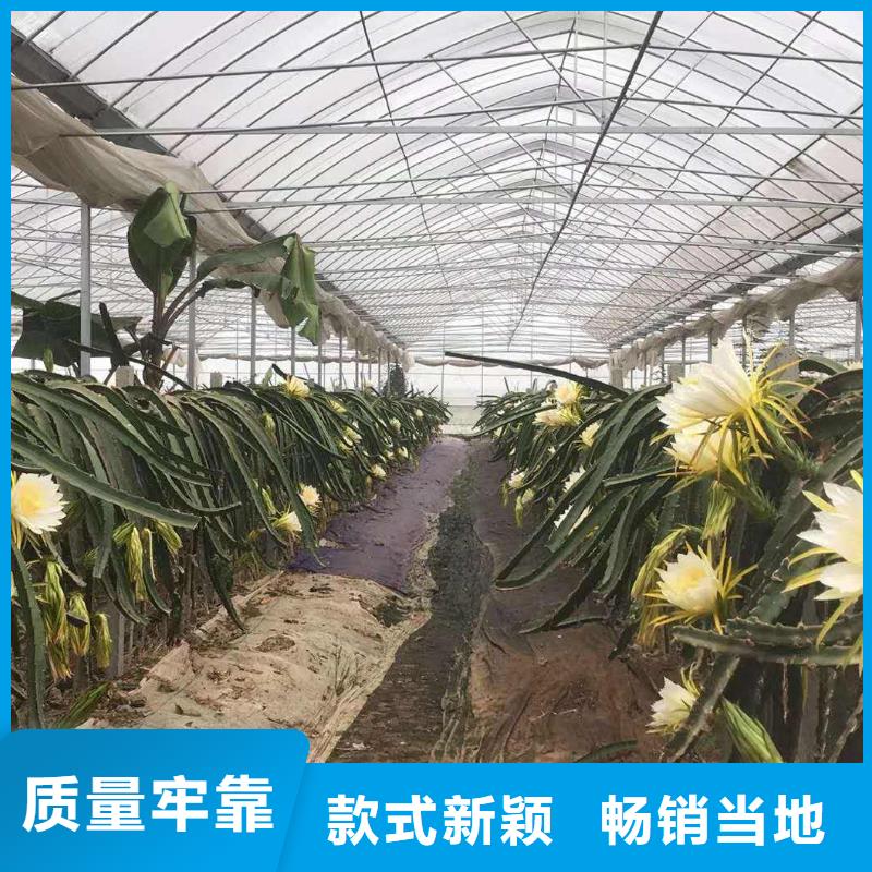 大棚管镀锌大棚管老客户钟爱