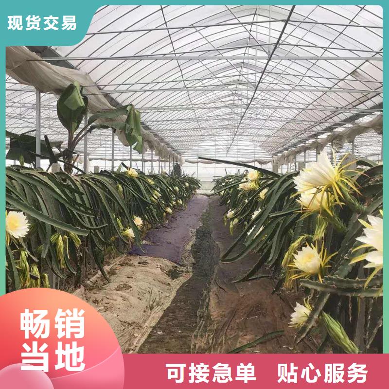 大棚管 镀锌大棚管价格公道合理