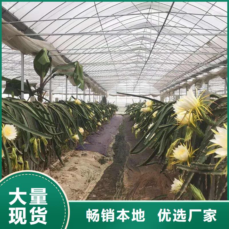  大棚管精致工艺