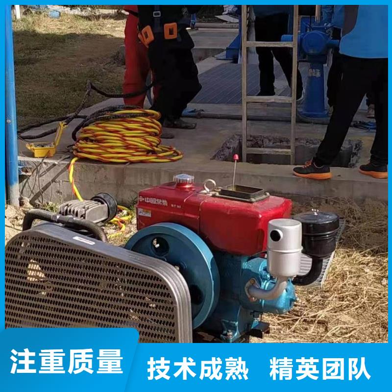 打捞 【政管道气囊封堵公司】先进的技术 金龙水下工程(柳州市分公司)
