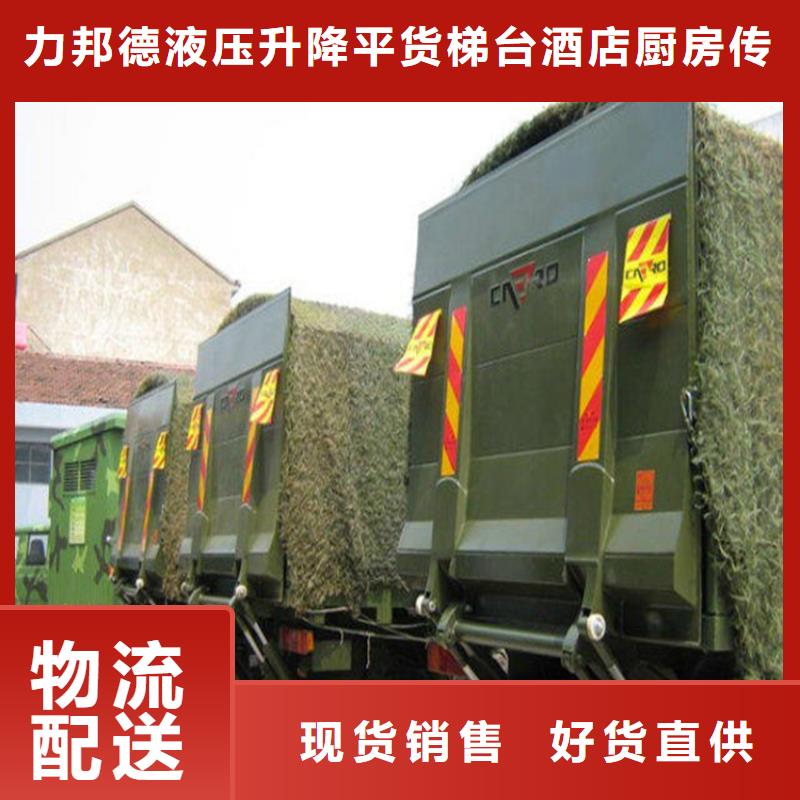 汽车尾板,别墅电梯厂家直营