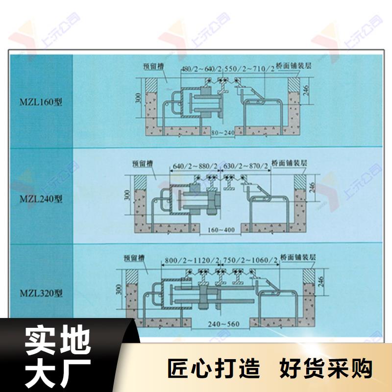 桥梁伸缩缝伸缩缝专注产品质量与服务
