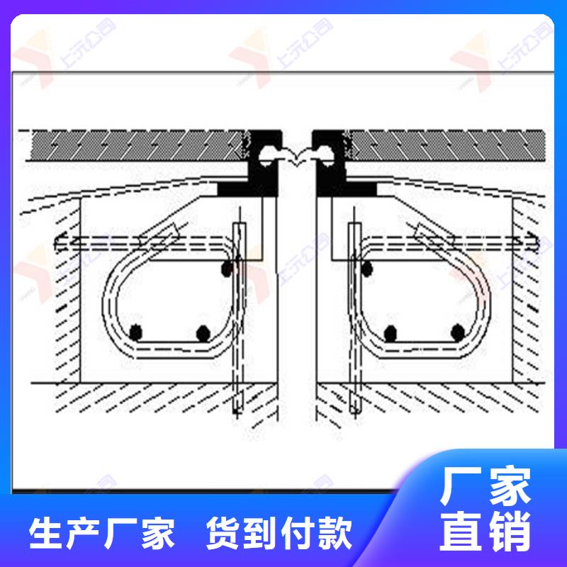 桥梁伸缩缝网架支座产地货源