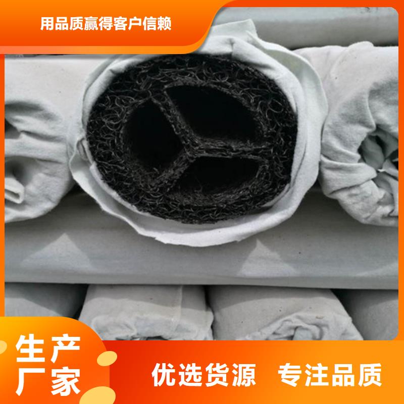 【盲沟盲管-涤纶土工格栅源头厂家量大价优】