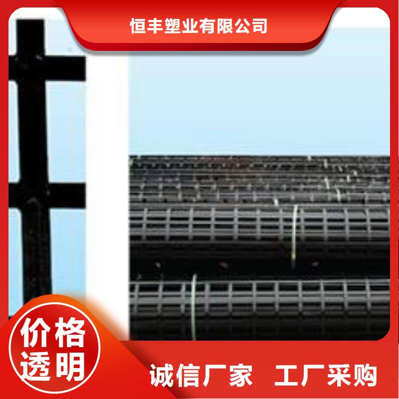 钢塑土工格栅【三维植被网】厂家经验丰富覆盖范围含|伊犁|克拉玛依