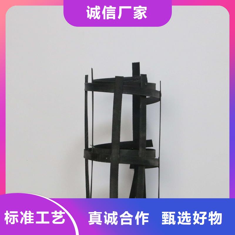 钢塑土工格栅双向塑料土工格栅专业按需定制