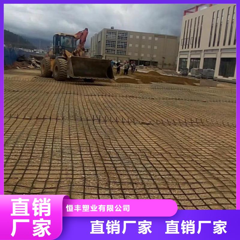 钢塑土工格栅【三维植被网】厂家经验丰富覆盖范围含|伊犁|克拉玛依