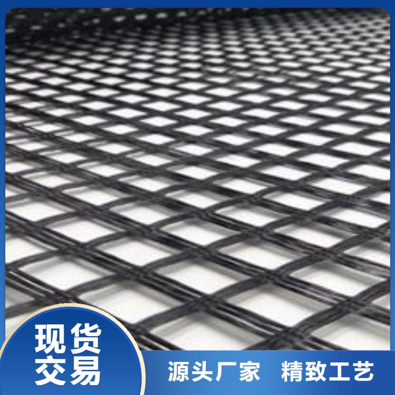 玻纤土工格栅护坡土工网厂家直销放心