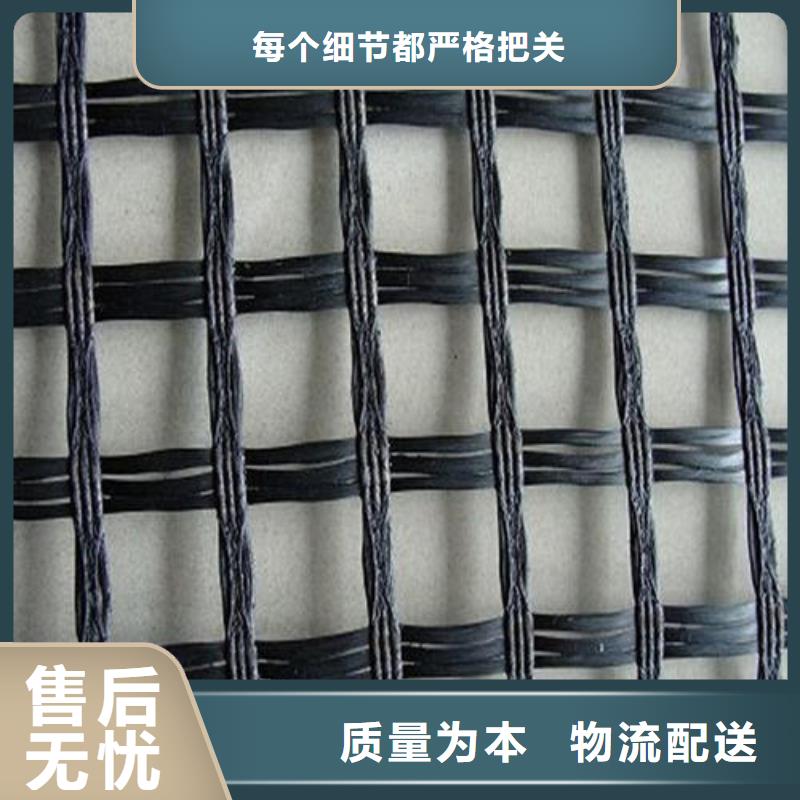 玻纤土工格栅护坡土工网厂家直销放心
